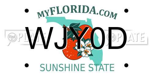 WJY0D Florida License Plate