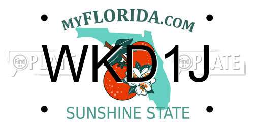 WKD1J Florida License Plate