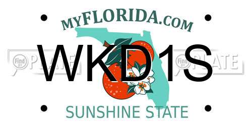 WKD1S Florida License Plate