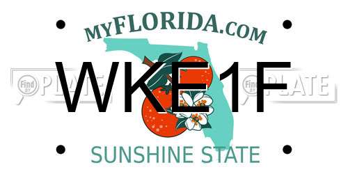 WKE1F Florida License Plate