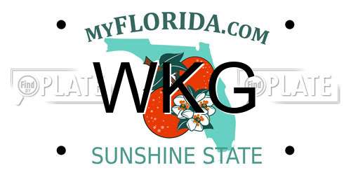 WKG Florida License Plate