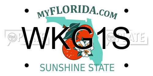 WKG1S Florida License Plate