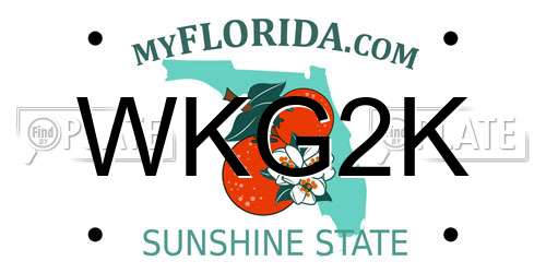 WKG2K Florida License Plate