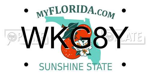 WKG8Y Florida License Plate