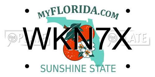 WKN7X Florida License Plate