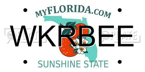 WKRBEE Florida License Plate