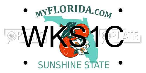 WKS1C Florida License Plate