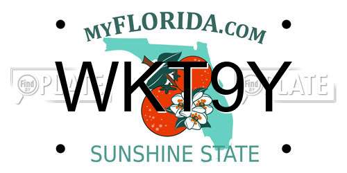 WKT9Y Florida License Plate