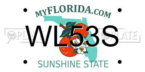WL53S Florida License Plate