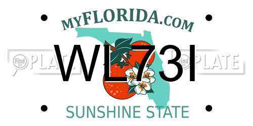 WL73I Florida License Plate