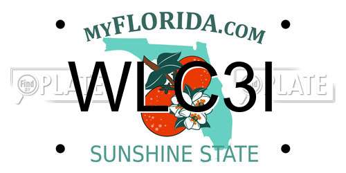 WLC3I Florida License Plate