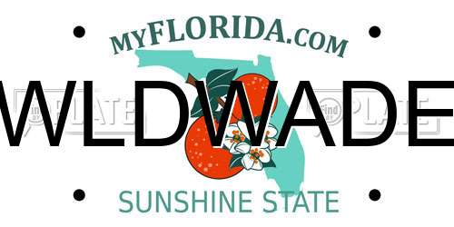 WLDWADE Florida License Plate