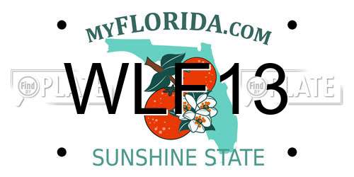 WLF13 Florida License Plate