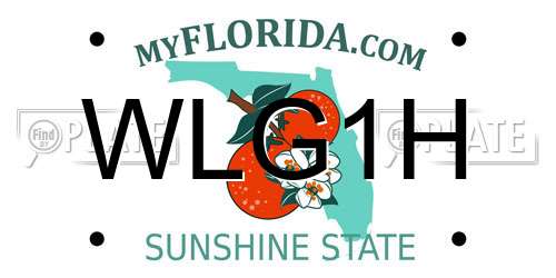 WLG1H Florida License Plate