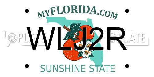 WLJ2R Florida License Plate