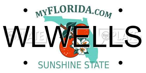 WLWELLS Florida License Plate
