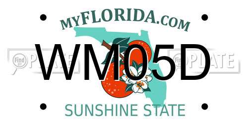 WM05D Florida License Plate