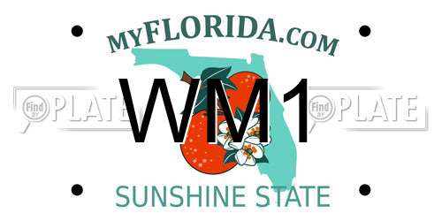 WM1 Florida License Plate