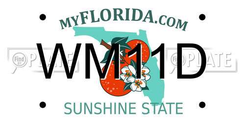 WM11D Florida License Plate
