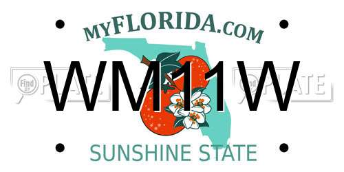 WM11W Florida License Plate