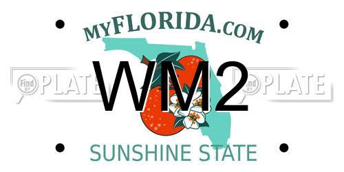 WM2 Florida License Plate