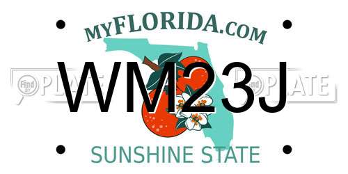 WM23J Florida License Plate