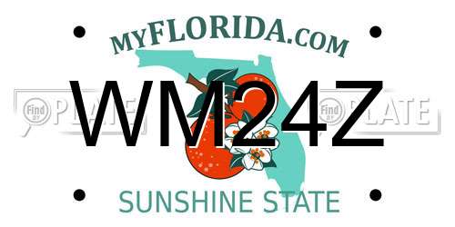 WM24Z Florida License Plate