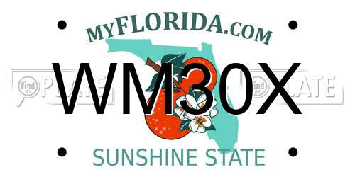 WM30X Florida License Plate
