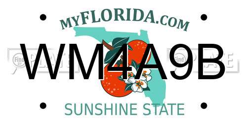WM4A9B Florida License Plate