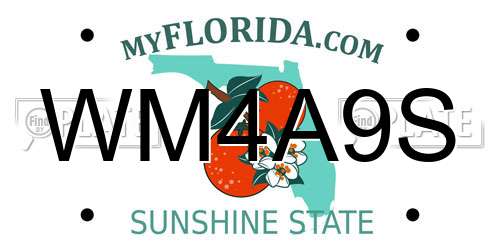 WM4A9S Florida License Plate