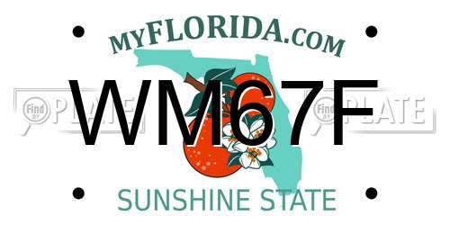 WM67F Florida License Plate