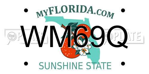 WM69Q Florida License Plate