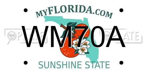 WM70A Florida License Plate