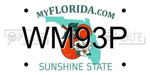 WM93P Florida License Plate