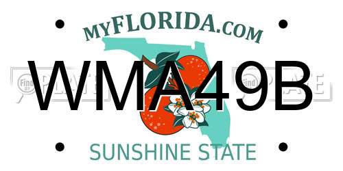 WMA49B Florida License Plate