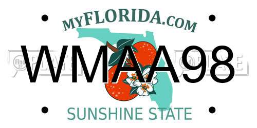 WMAA98 Florida License Plate