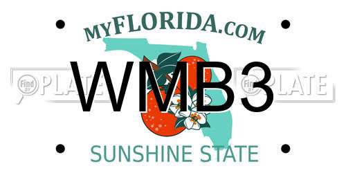 WMB3 Florida License Plate