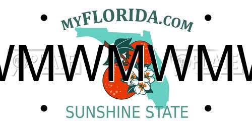 WMWMWMW Florida License Plate