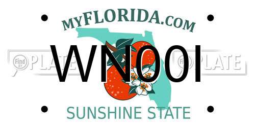 WN00I Florida License Plate