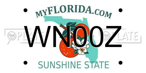 WN00Z Florida License Plate