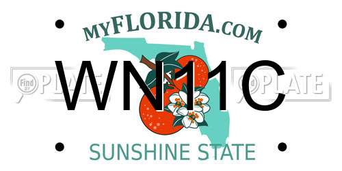 WN11C Florida License Plate