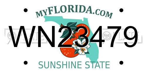 WN23479 Florida License Plate