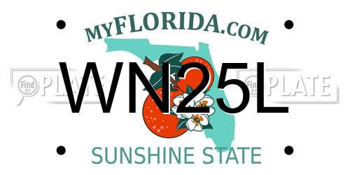 WN25L Florida License Plate