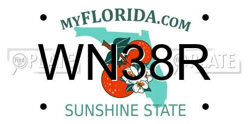WN38R Florida License Plate