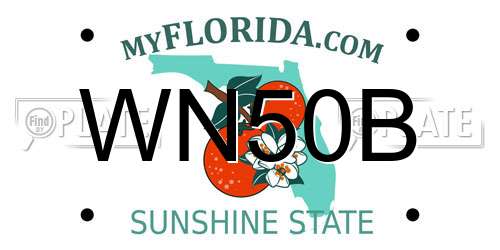 WN50B Florida License Plate