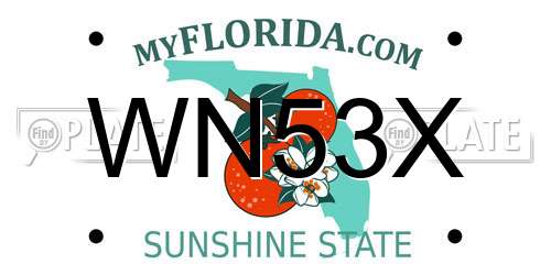 WN53X Florida License Plate