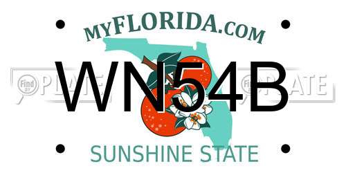 WN54B Florida License Plate