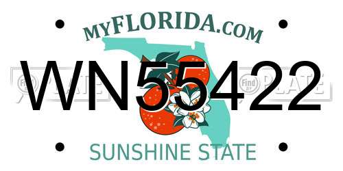 WN55422 Florida License Plate