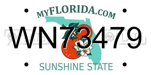 WN73479 Florida License Plate