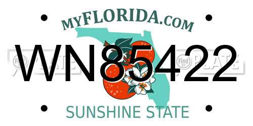 WN85422 Florida License Plate